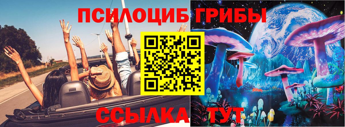 Галлюциногенные грибы Magic Shrooms Сергиев Посад