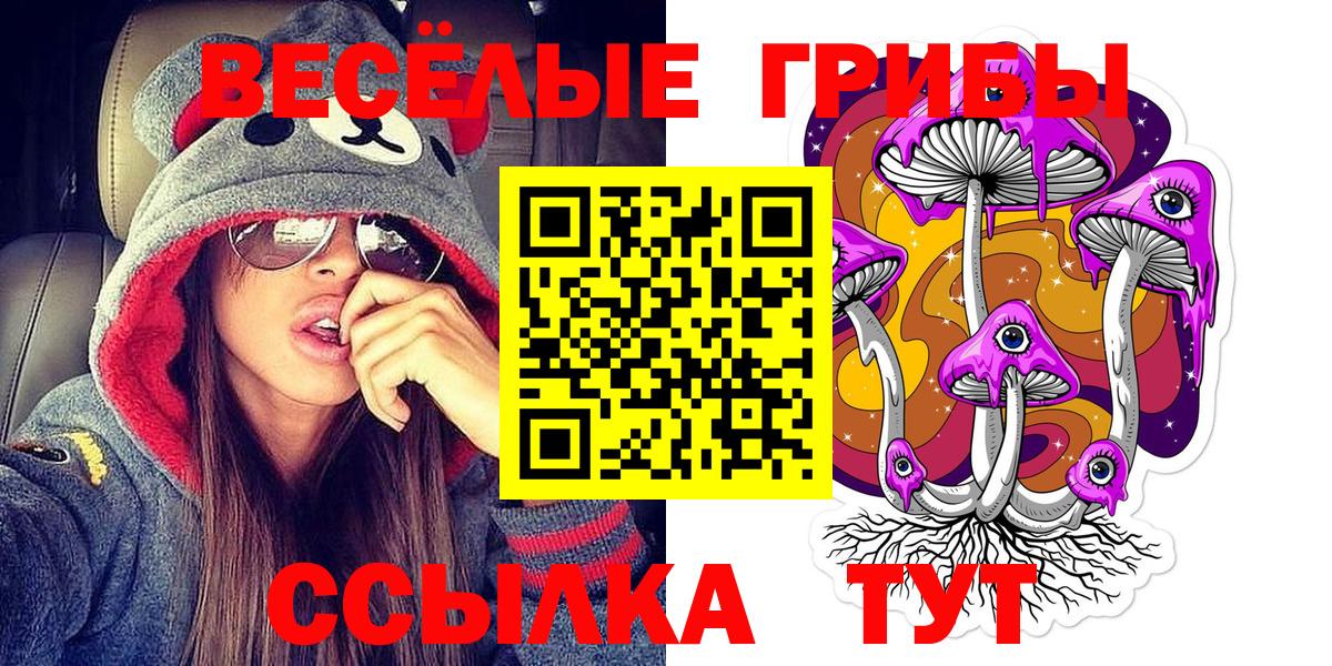 Сергиев Посад  Псилоцибиновые грибы Psilocybe  Вход с VPN 